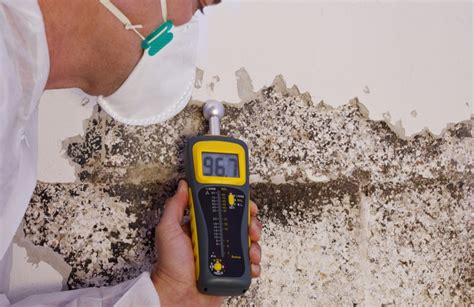 moisture meter for termite detection|how to detect termites in house.